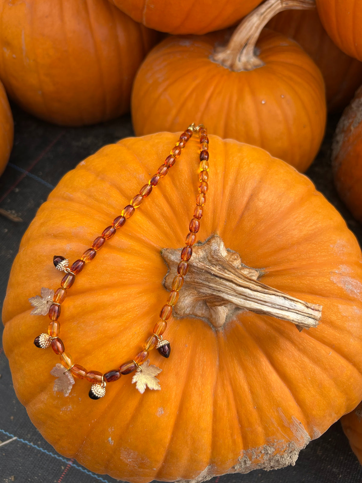 Collier Fall Treasure